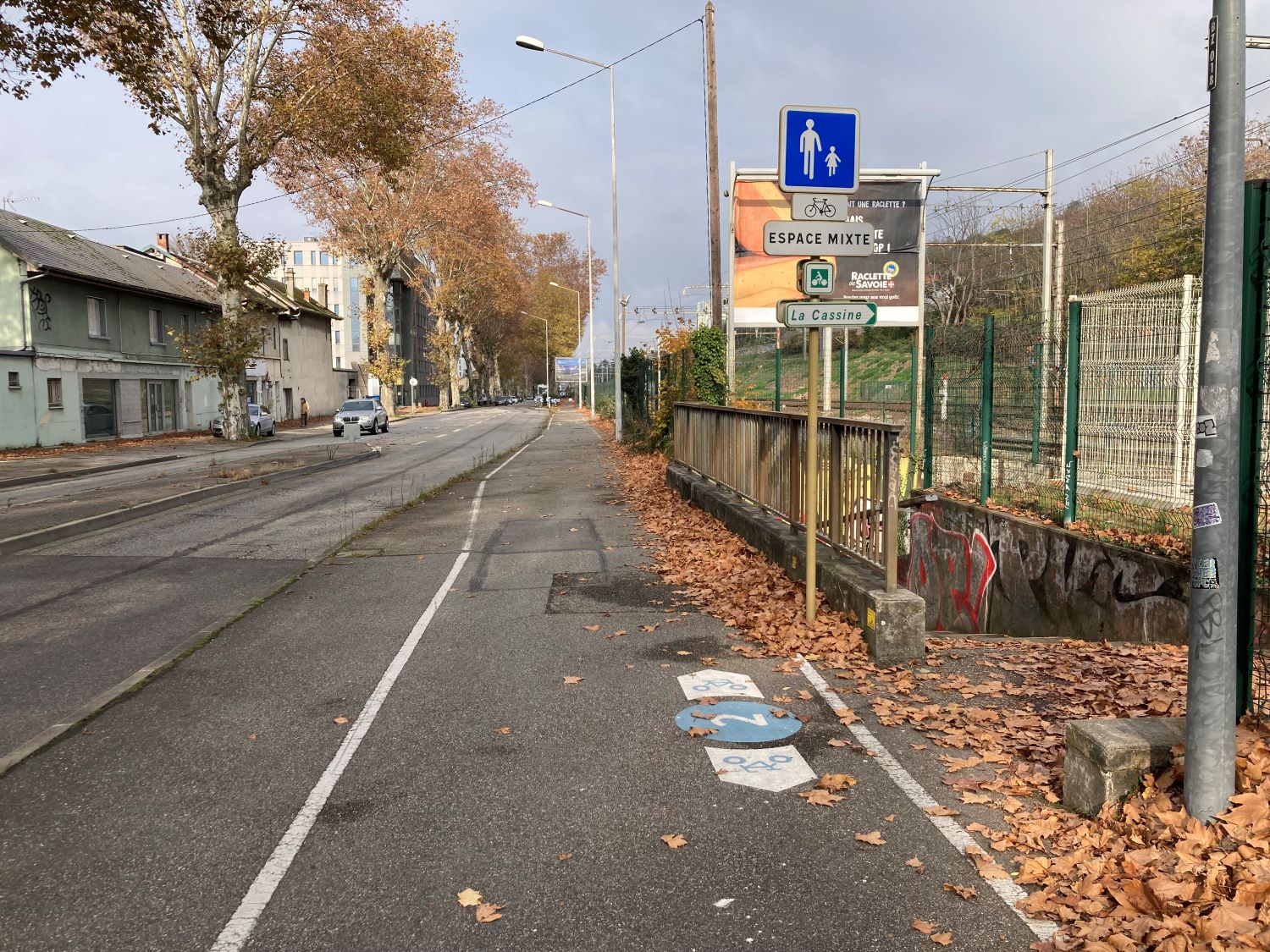 Avenue de la Boisse (Chambéry)